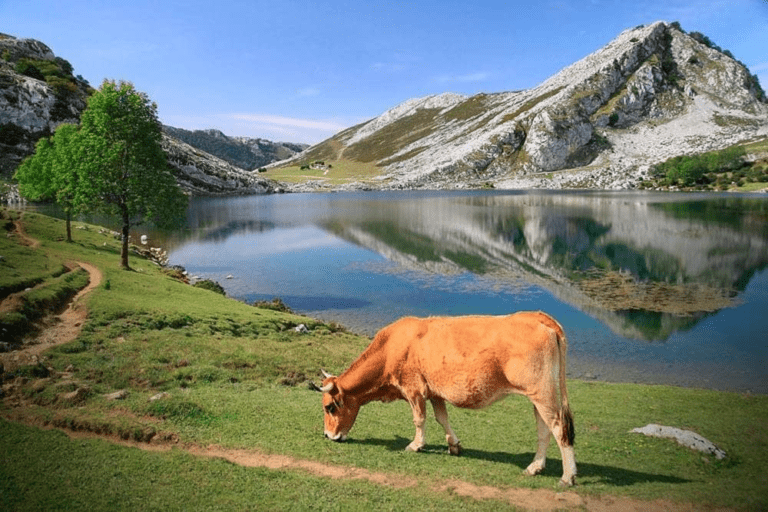 Places to visit in Asturias